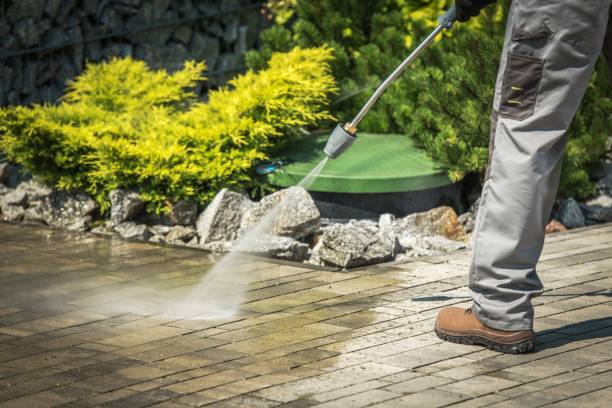 Best Animal Enclosure Cleaning  in Fontana, CA